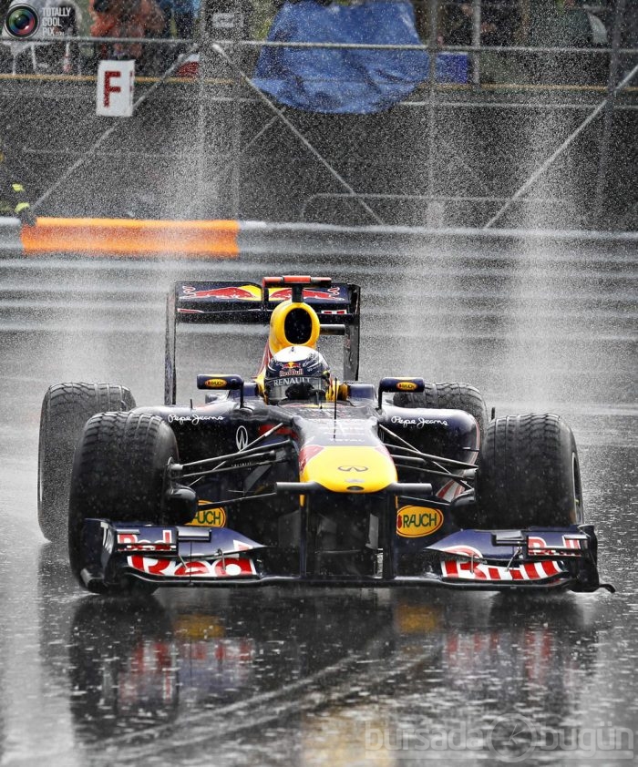 F1'in en güzel kızları