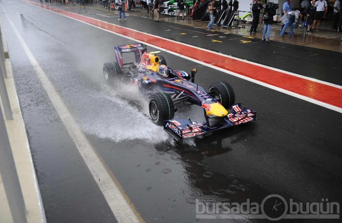 F1'in en güzel kızları
