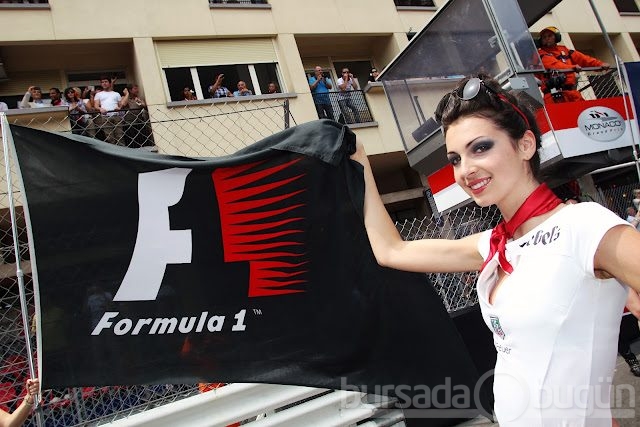 F1'in en güzel kızları