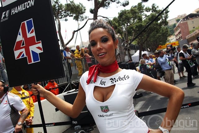 F1'in en güzel kızları