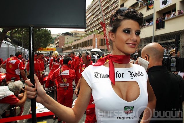 F1'in en güzel kızları