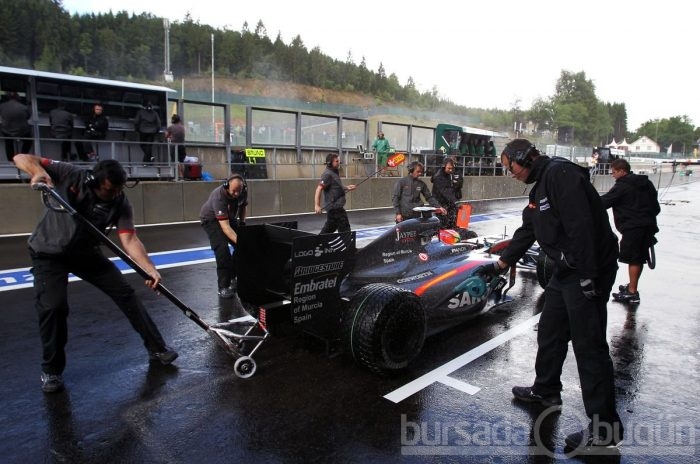 F1'in en güzel kızları