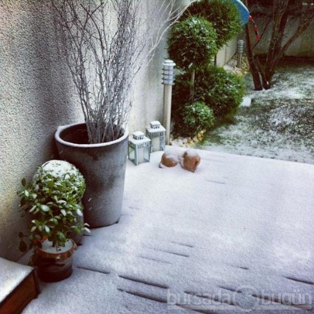 Ünlülerin kar sevinci