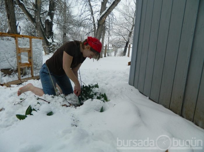 Sosyal medyada yeni çılgınlık