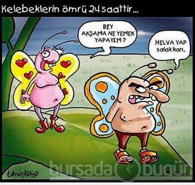 İnternetin en çok tıklanan karikatürleri 