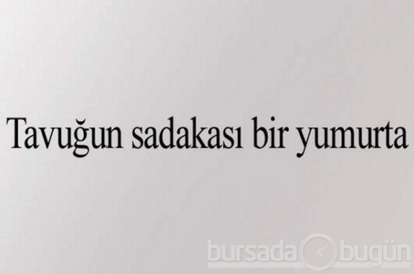 Aykırı Atasözleri! Tuhaf ama gerçek...