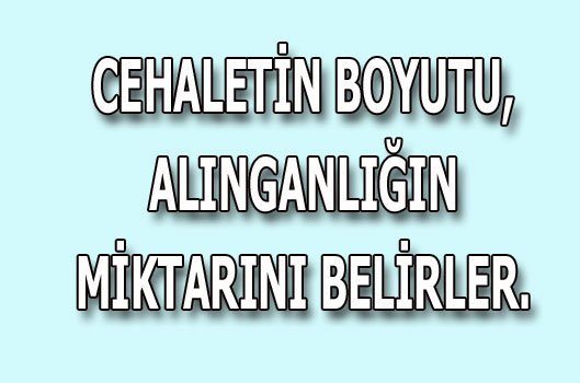 Facebook ve Twitter'da olay yaratan sözler!