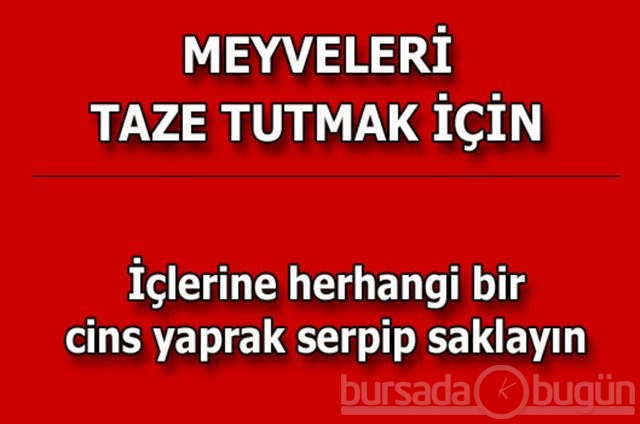 Hayat kurtaran pratik bilgiler!