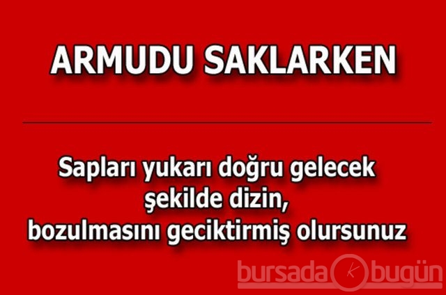 Hayat kurtaran pratik bilgiler!