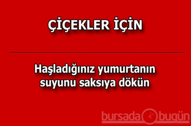 Hayat kurtaran pratik bilgiler!