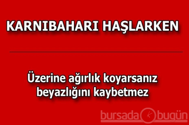 Hayat kurtaran pratik bilgiler!