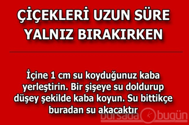 Hayat kurtaran pratik bilgiler!