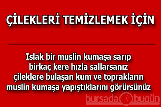 Hayat kurtaran pratik bilgiler!