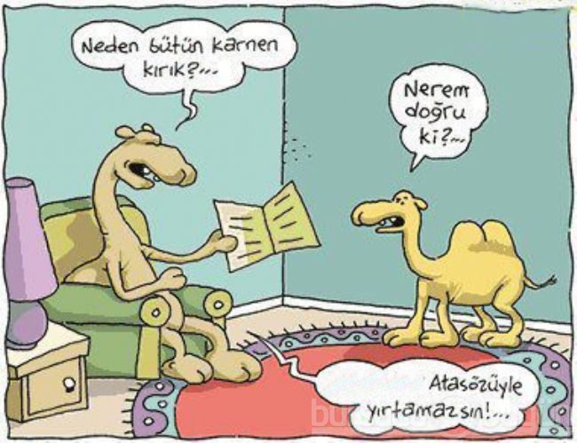 Komik karne karikatürleri