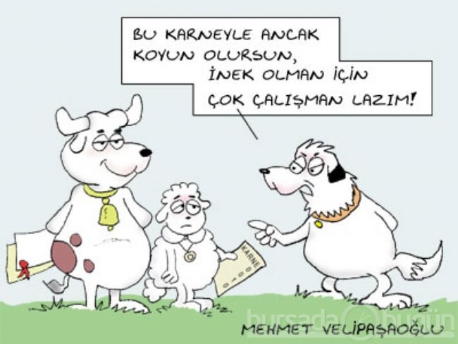 Komik karne karikatürleri