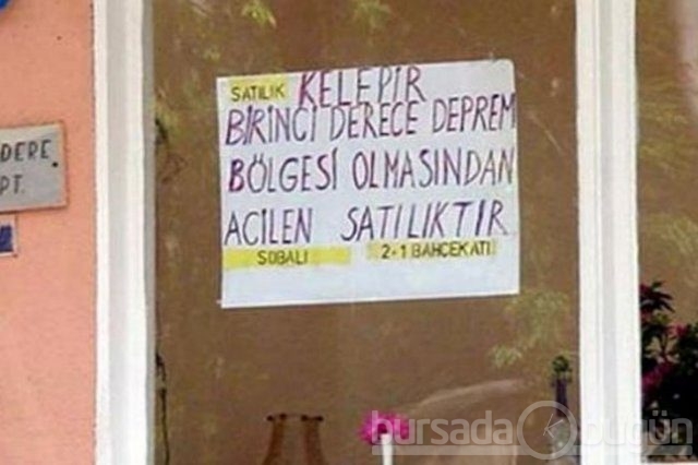 Yurdum insanı