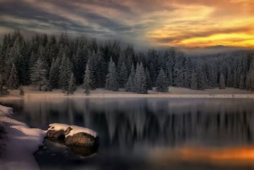 En tuhaf fotoğraflar