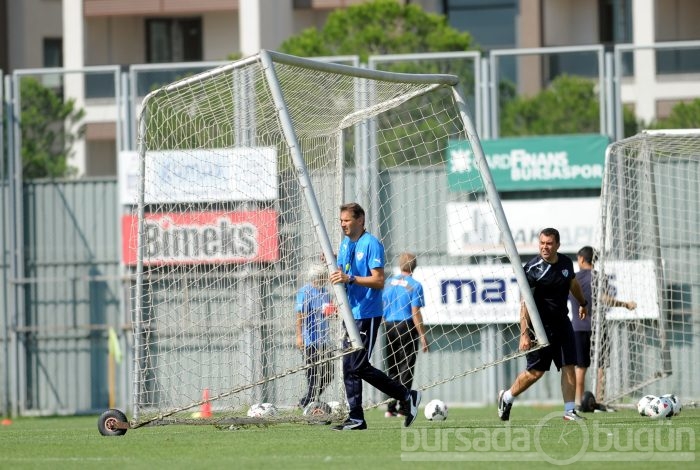 Timsah Antalya'ya hazırlanıyor