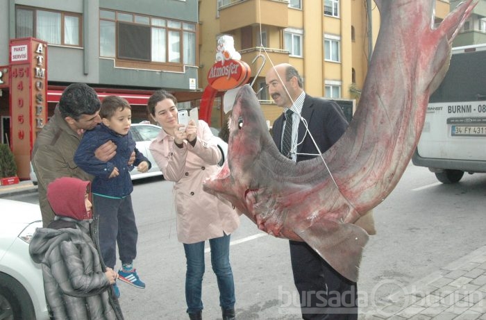 3 metrelik canavar şaşırttı...
