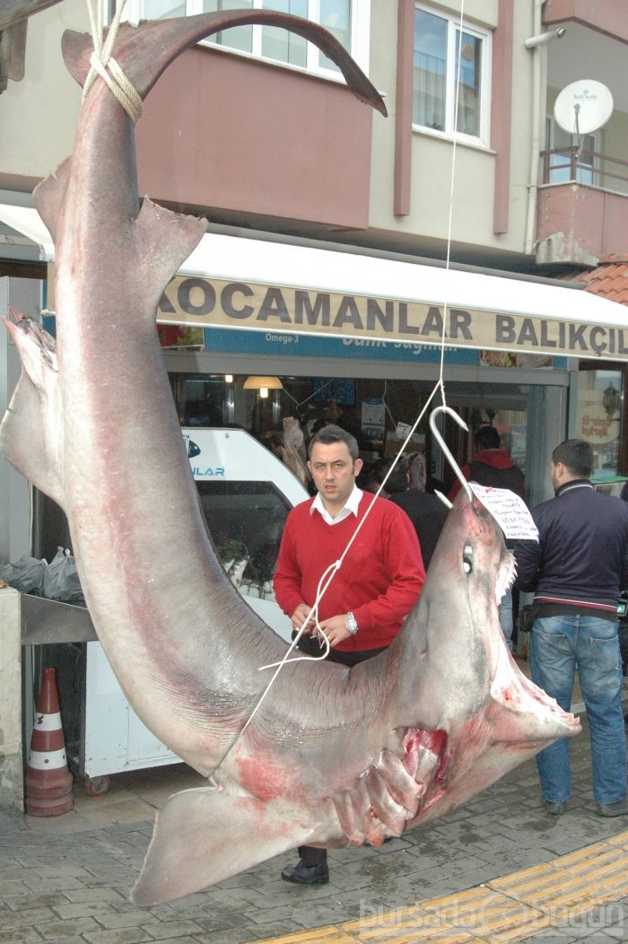3 metrelik canavar şaşırttı...