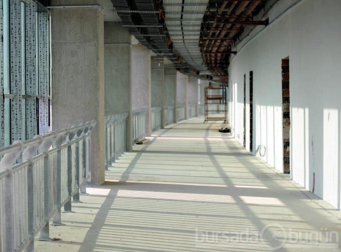 Timsah Arena hızla yükseliyor
