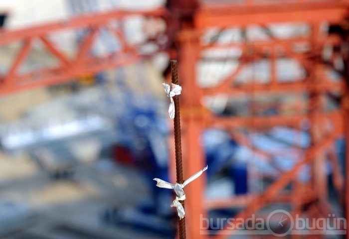 Timsah Arena hızla yükseliyor