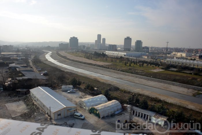 Timsah Arena hızla yükseliyor