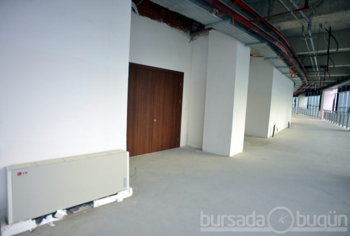 Timsah Arena hızla yükseliyor