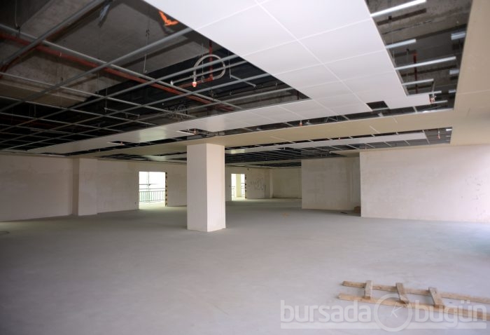 Timsah Arena hızla yükseliyor