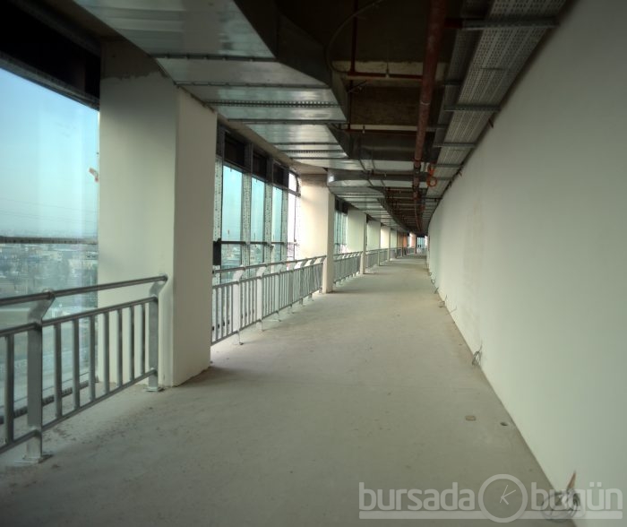Timsah Arena hızla yükseliyor