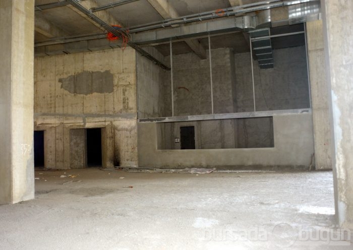 Timsah Arena hızla yükseliyor