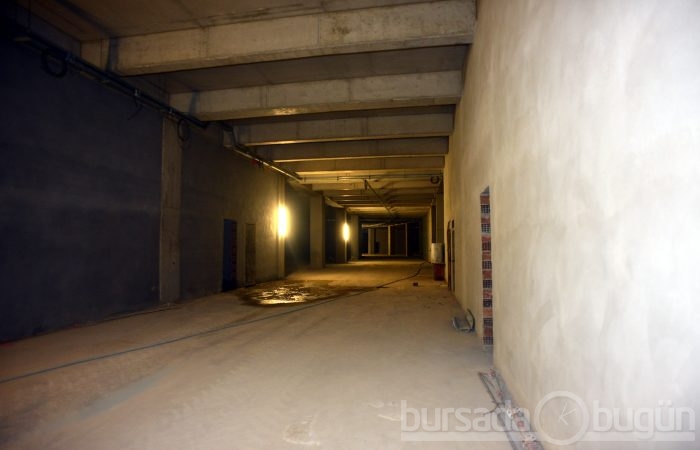 Timsah Arena hızla yükseliyor