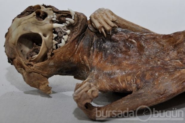 Bu mumyalar Aksaray'da bulundu