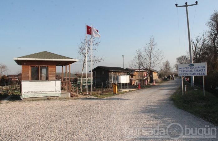 Bursa hobi bahçelerinde hırsızlık şoku - ÖZEL HABER
