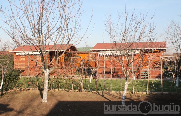 Bursa hobi bahçelerinde hırsızlık şoku - ÖZEL HABER