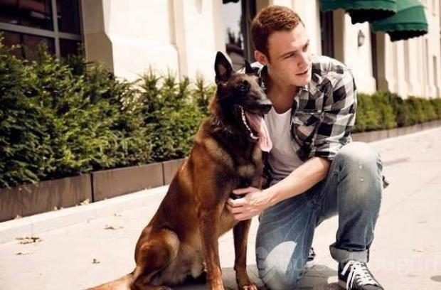 Kerem Bürsin Homeland'de!