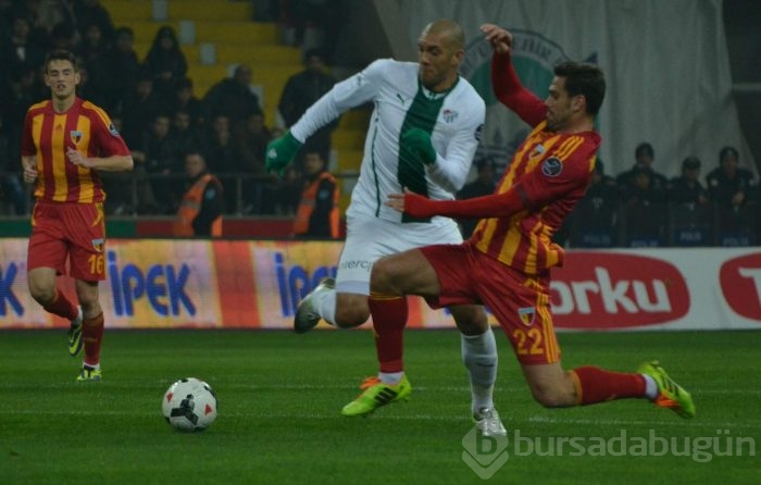 Timsah Kayseri'de fırsat tepti!