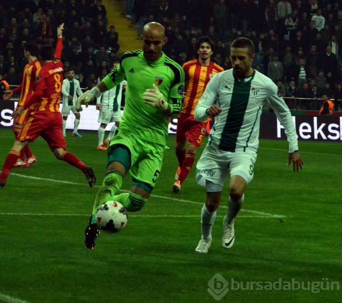 Timsah Kayseri'de fırsat tepti!
