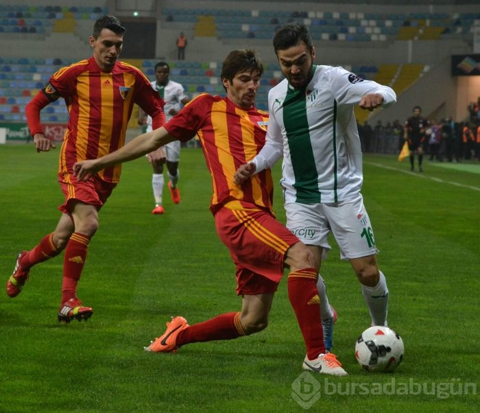 Timsah Kayseri'de fırsat tepti!