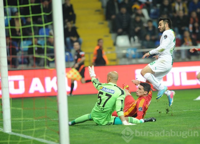 Timsah Kayseri'de fırsat tepti!