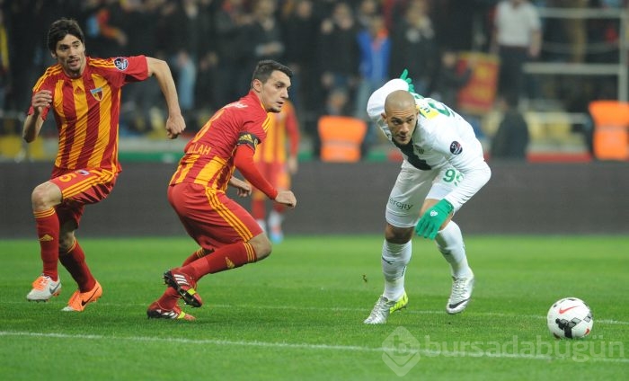 Timsah Kayseri'de fırsat tepti!
