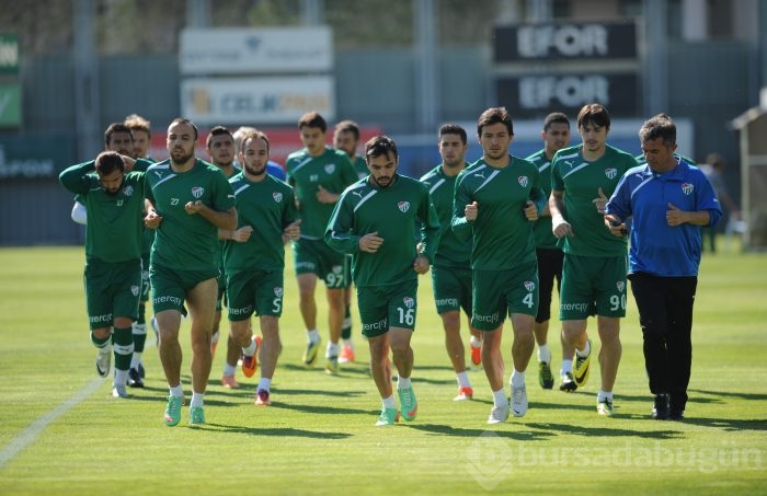 Timsah taktik çalıştı