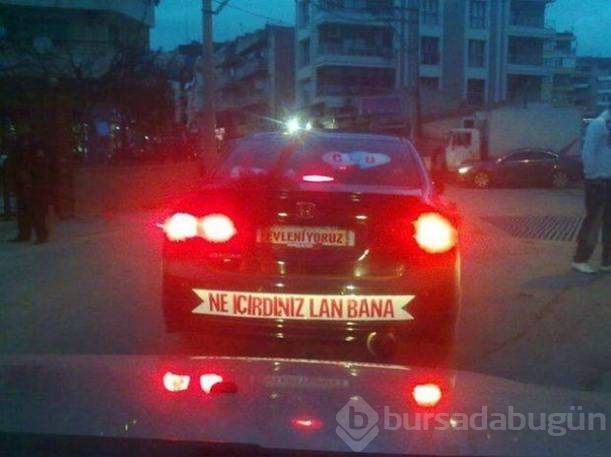 Gelin arabalarındaki en ilginç yazılar...