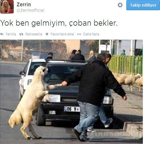 Sosyal medyayı sallamaya devam ediyor...