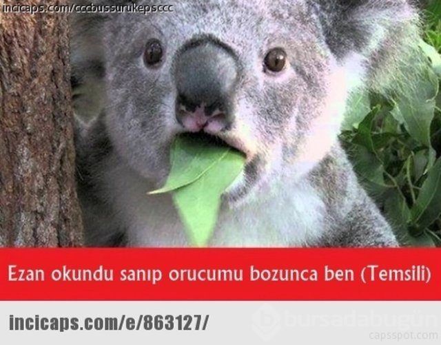 Ramazan capsleri