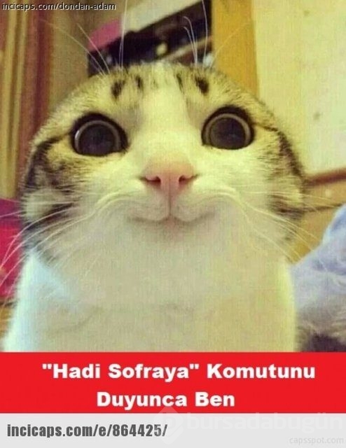 Ramazan capsleri