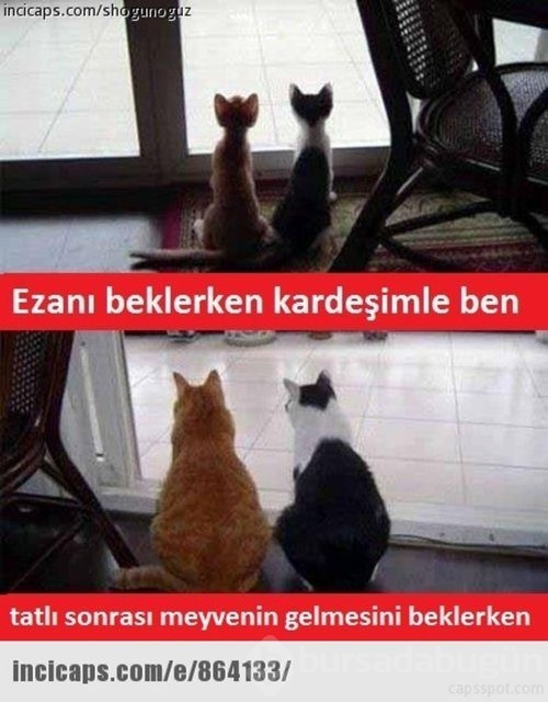 Ramazan capsleri
