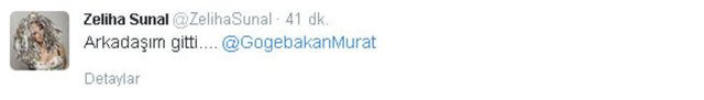 Ünlülerden Murat Göğebakan tweetleri