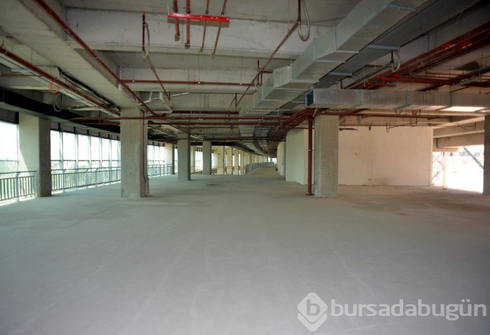 Timsah Arena'da çalışmalar hız kazandı