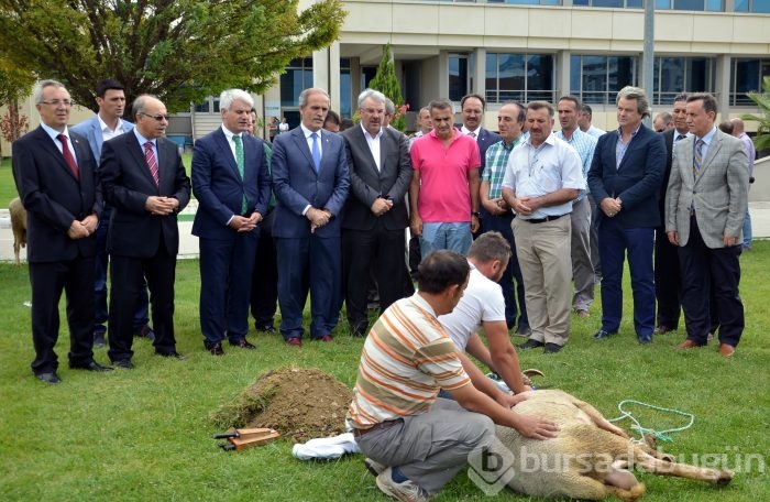 Yeni sezon öncesi Özlüce'de kurban kesildi